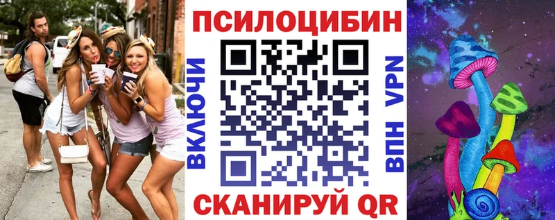 Псилоцибиновые грибы GOLDEN TEACHER  где купить наркоту  Сорск 